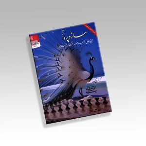 کتاب ساز و پرواز